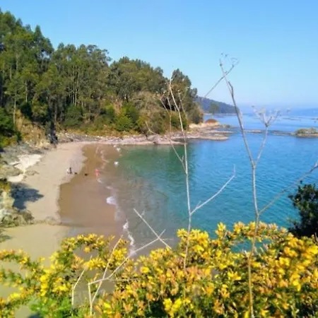 Playa 50m Paseo Maritimo *